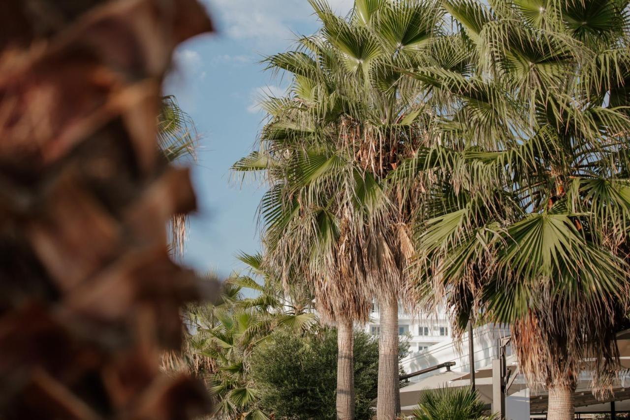 Klajdi Resort Golem  Esterno foto Palm trees in the city